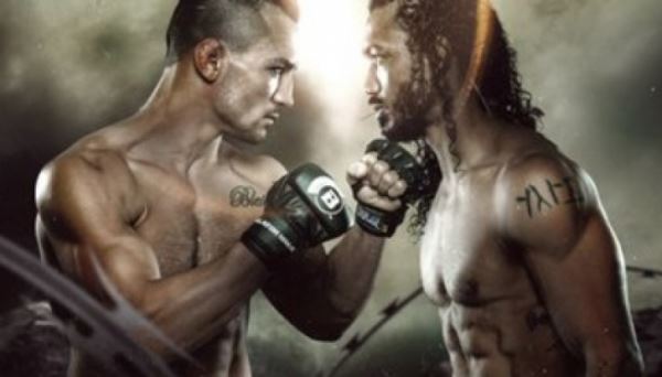 Файткард турнира Bellator 243